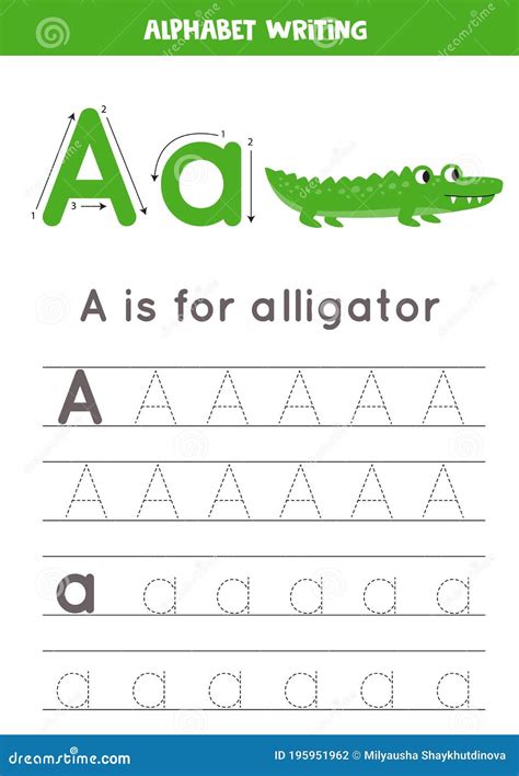 Tracing Alphabet Letter A With Cute Cartoon Alligator Stock Vector