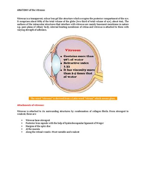 Anatomy Vitreous | Human Eye | Retina