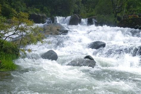 Kudremukh Backpacking for Dayanand Sagar | Bangalore to Kudremukh Trek Day Sightseeing and ...