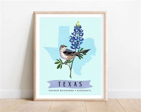 Texas State Bird and State Flower Art Print Mockingbird and Bluebonnets Botanical Illustration ...