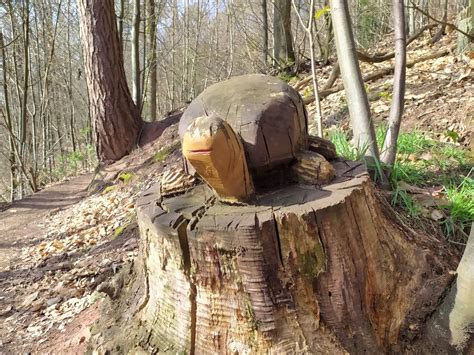 Wandern bei den Nachbarn Pfälzer Weinsteig 9 Etappe Rietania