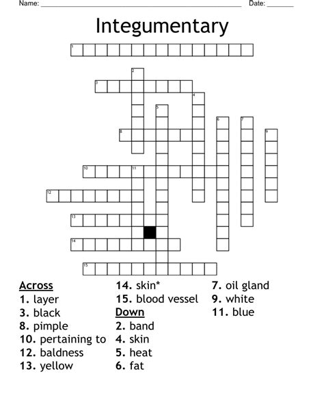 Integumentary Crossword Wordmint