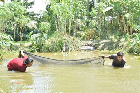 Berdayakan Masyarakat Ptba Ubah Lahan Bekas Tambang Jadi Tambak Ikan