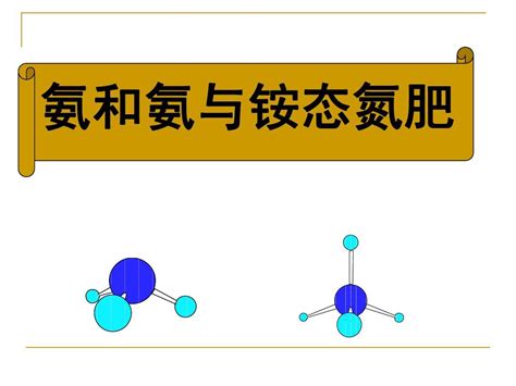 氨与铵态氮肥word文档在线阅读与下载无忧文档