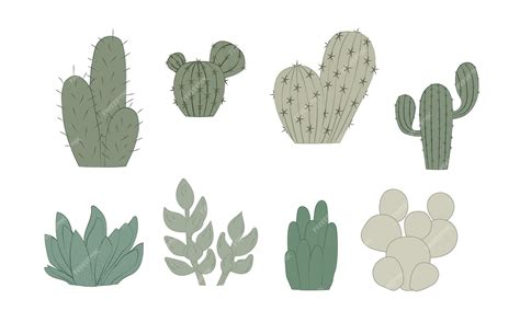 Premium Vector | Set of cacti Cute cacti