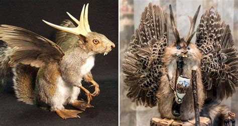 Wolpertinger: The Horned Rabbit From Bavarian Folklore