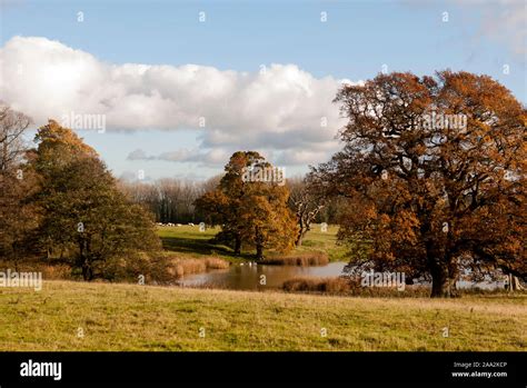 Northamptonshire countryside landscape hi-res stock photography and ...