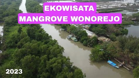 EKOWISATA MANGROVE WONOREJO 2023 YouTube