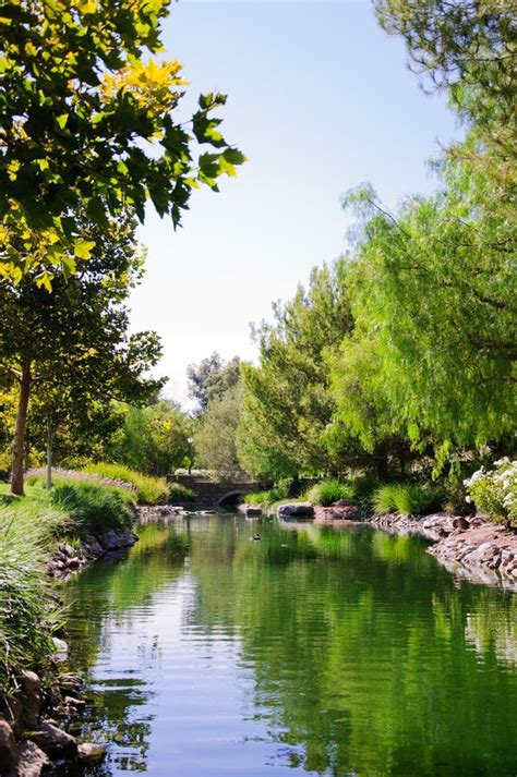 Beautiful Landscape Along Creek Stock Photo - Image of pacific, leaf ...