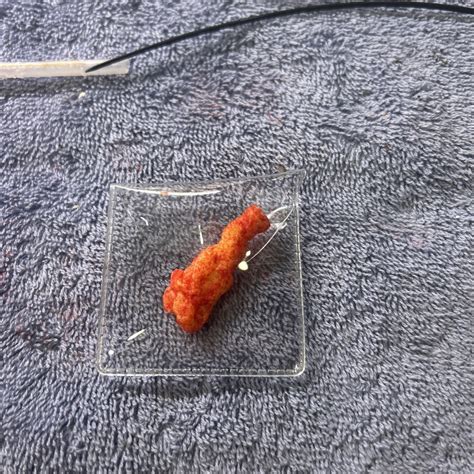 Dick Shaped Hot Cheetos EBay