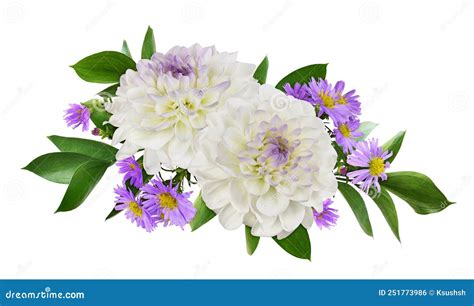 White And Purple Flowers In A Floral Arrangement Isolated Stock Photo