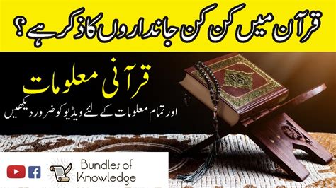 Facts & Detail of Quranic About World in Urdu - Bundles Of Knowledge ...