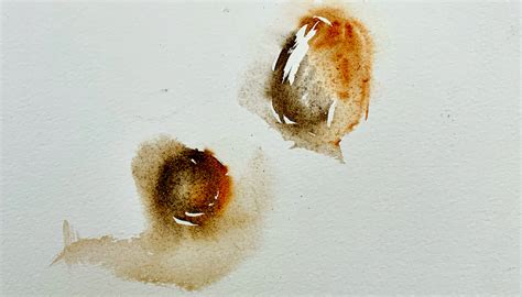 Vandy Massey Studio Painting Tips How To Layer In Watercolours