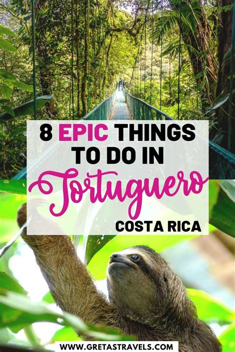 Tortuguero National Park Tours: Costa Rica's Most Beautiful Rainforest