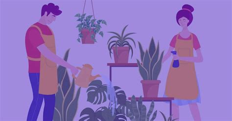 🌱 Plantas De Interior ¡cuidados Para No Dejarlas Morir Crehana