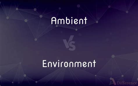 Ambient vs. Environment — What’s the Difference?