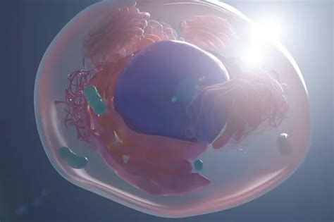 Devon Villagers Bare All For Fun Naked Calendar Devon Live