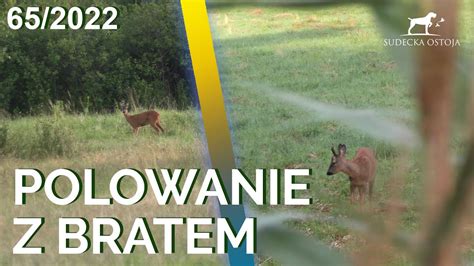 Sudecka Ostoja Polowanie Z Bratem Powr T Do Korzeni Wildboars