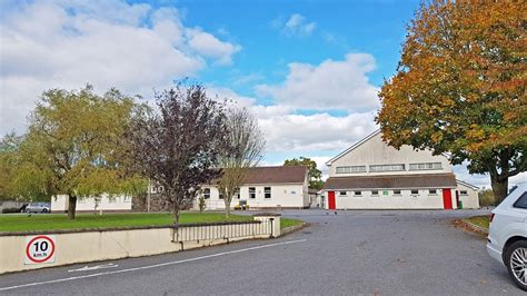 Información Del Colegio Scoil Aireagail Ballygeale Colegio Público