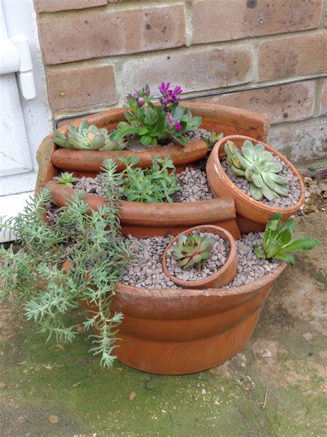 My Alpine Pot Made From Broken Terracotta Container Terra Cotta Pots