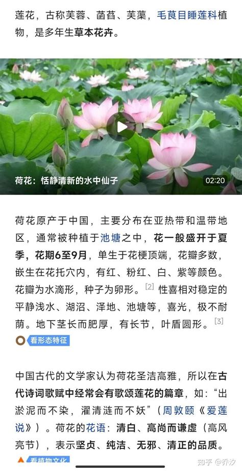 归纳 咏荷花诗词 知乎