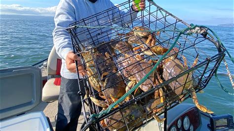 Crabbing Catch And Cook Crab Curry Puget Sound Washington State