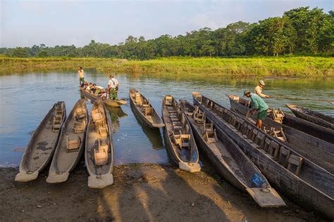 Discover The Rich Wildlife And Culture Of Sauraha Nepal What The Nepal