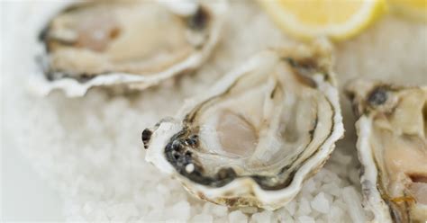 Nutritional Benefits Of Oysters Besto Blog