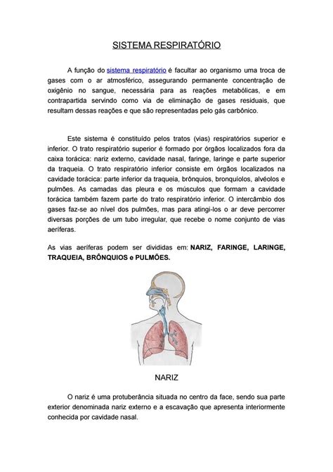 Sistema Respirat Rio By Robson Treinamentos Issuu