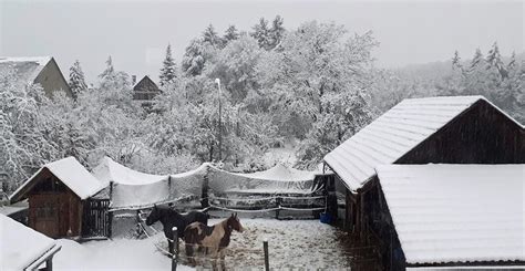 La Ferme