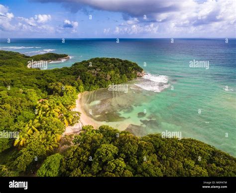 Francecaraïbes Petites Antilles La Guadeloupe Grande Terrele