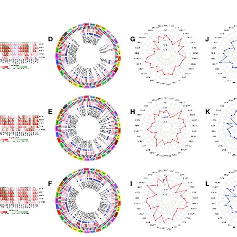 Correlation Analysis Between Igf2bps Expression And Mmr Dna