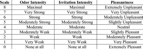 Hedonic Rating Scale