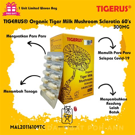 Tigerus Tiger Milk Mushroom Capsule 60 S Tigerus Cendawan Susu