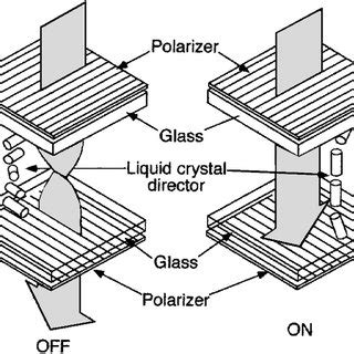 Principle of operation of a TN display in the normally white mode ...