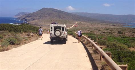 Parc National De L Asinara Visite D Une Joun E En Tout Terrain