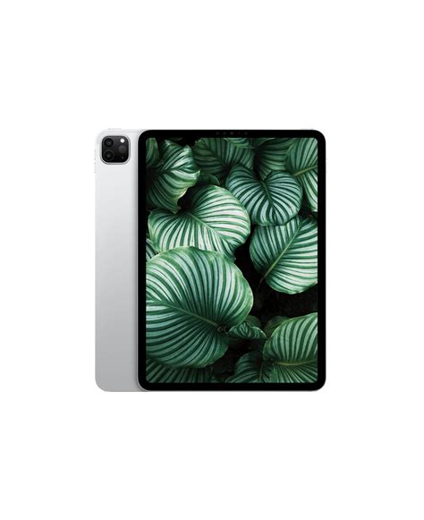 Begagnad Ipad Pro 4 2022 11 Wi Fi Med 2 års Garanti Refurbly