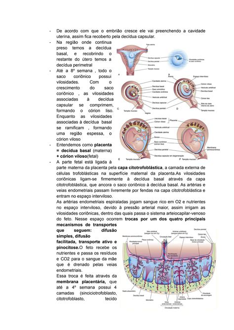 Solution Anexos Embrion Rios Studypool