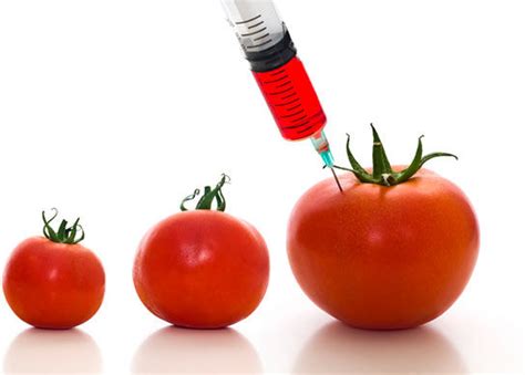 Genetically Modified Organisms – Pros, Cons, Examples, Benefits