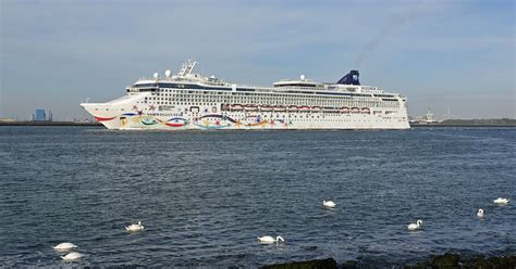 Norwegian Star - description, photos, position, cruise deals