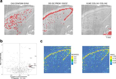 Spatial Epigenome Transcriptome Co Profiling Of Mammalian Tissues