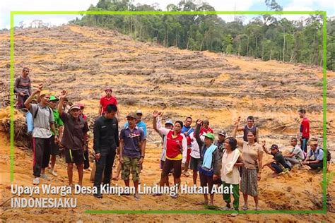 Trans7 Upaya Warga Desa Kinipan Lindungi Hutan Adat