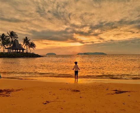 Sunset and Girl on the Beach Stock Photo - Image of sunset, evening ...