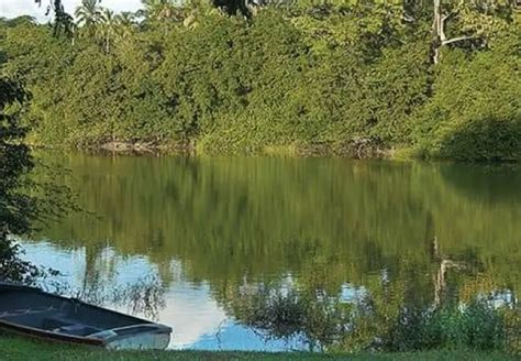 La Laguna Big Pond En La Isla San Andrés Pesca Y Caza En El Paraíso