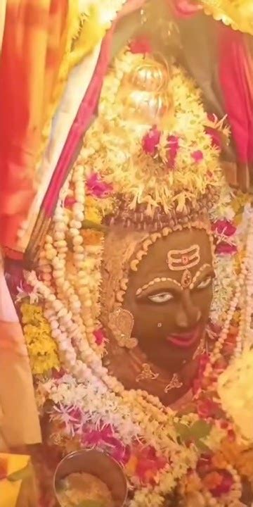 सावन माह के पहले सोमवार की आप सभी को हार्दिक शुभकमनाएं🌹 ️🙏🏻mahakalmahakalaartimahakalstatus