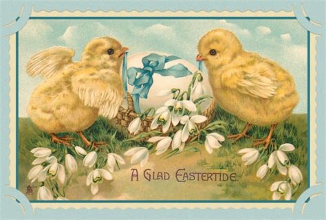 Vintage Easter Chicks Card Free Stock Photo Public Domain Pictures