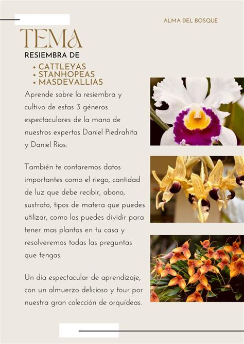 Taller Presencial De Cultivo De Orqu Deas Febrero Alma Del Bosque