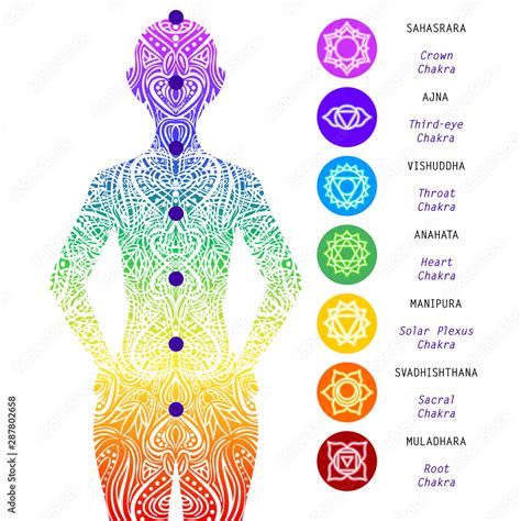 Seven Chakras Points Energy Body Yoga Meditation Location Of