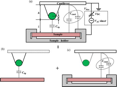 A schematic of FM KPFM An AC bias voltage V AC cos ω m t is