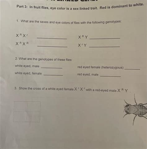 Part In Fruit Flies Eye Color Is A Sex Linked Chegg